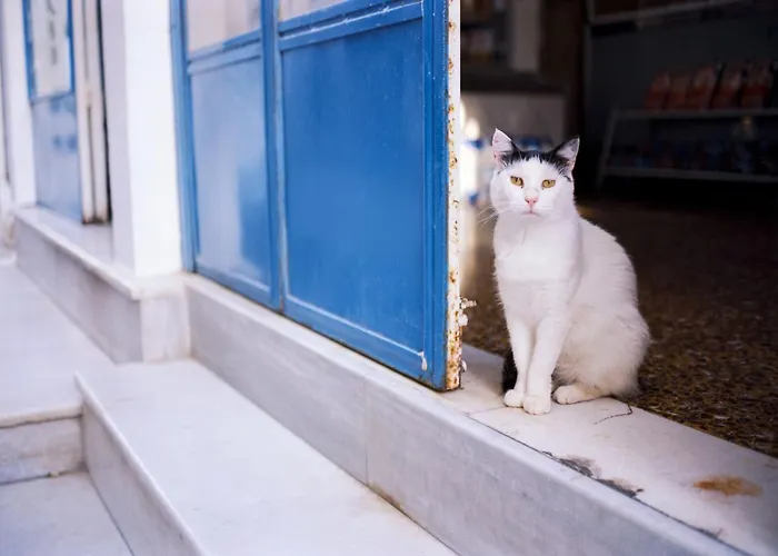 Beautiful Santorini 1 Bedroom Blissful Retreat Breathtaking 빌라 *